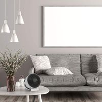 BONECO AIR SHOWER FAN F100 1台