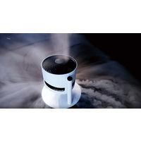 BONECO AIR SHOWER FAN F220 1台