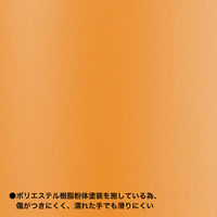 ステンレス製 携帯用まほうびん 480ml マンゴーソルベ オレンジ 北欧 THRM48MS 1個 ドメティック（直送品）