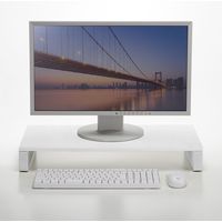 サンワサプライ 机上液晶モニタスタンド(D300・ホワイト) MR-LC302WN 1個（直送品）