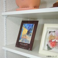 ARTIST(アーティスト) ステンレス棚柱 300mm シルバー SA-TB300 清水 4本（直送品）