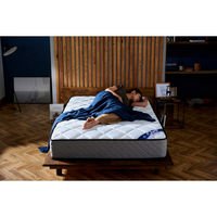 アイリスオーヤマ マットレス セミダブル ベッドマットレス ラテックス 抗菌防臭 ポケットコイルマットレス 厚さ25cm PMTS25N-SD（直送品）