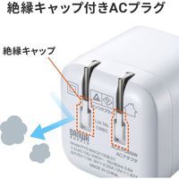 サンワサプライ USB PD対応キューブ型AC充電器（PD20W） ACA-PD89W 1個