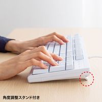 サンワサプライ 英語USBキーボード(ホワイト) SKB-E5UW 1台