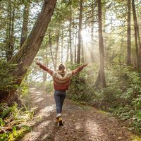 【ミネラルウォーター】Vittel ヴィッテル PET 500ml 1セット（48本）