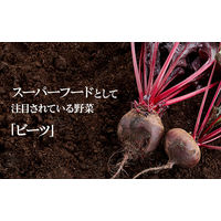 奇跡の野菜といわれるビーツをドリンクにしました 100ml 10本 パールエース