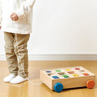 エド・インター デザインつみき 1セット