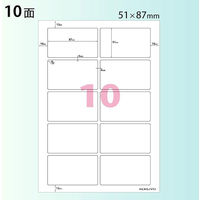 コクヨ カラーLBP&PPC用光沢紙ラベル A4 10面 LBP-G1910 1袋(100シート)