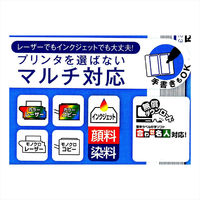 コクヨ カラーLBP&IJP用タックインデックス 保護フィ KPC-T1693B 1セット(10シート:5シート入×2袋)