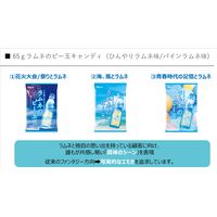 ラムネのビー玉キャンディ 65g 1セット（1袋×6） カンロ 飴 キャンディ