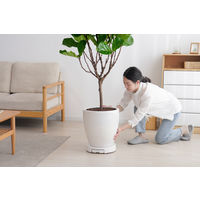 【園芸用品】 アイリスオーヤマ らくらく鉢受トレー ホワイト RHT-30 1個