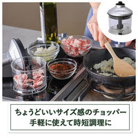 Cuisinart コードレス充電式ハンドブレンダー RHB-1070J 1台