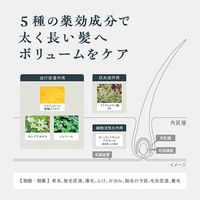 YANAGIYA1615 薬用育毛 ボリュームケアトニック 無香料 200g 2本 柳屋本店