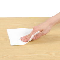 抗菌 カウンタークロス ハーフ ホワイト 約30×30cm 1セット（1パック（100枚入）×5）