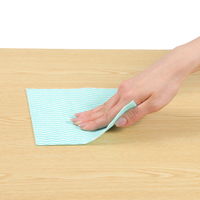 抗菌 カウンタークロス ハーフ グリーン 約30×30cm 1セット（1パック（100枚入）×5）