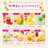 宝酒造 果実酒の季節 mini 35度 220ml （450ml広口瓶）1セット（1本×2）ホワイトリカー 焼酎 梅酒用 果実酒用