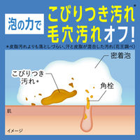 メンズビオレ ザフェイス うるおいケア つめかえ用 心地よいムスクの香り 170ml 花王
