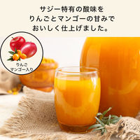 伊藤園 アップル・マンゴー＆サジーミックス 200ml 1セット（48本）