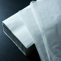 小野商事 ペーパータオル 中判 厚手 200枚入 WS6520 1個