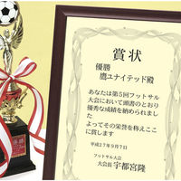 ササガワ *証書用紙 A4判 彩紋 10-1706 1冊(10枚)