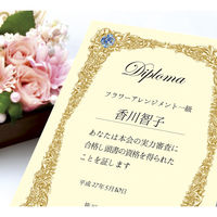 ササガワ 証書用紙 A4判 ループ 10-1707 1袋(10枚入)