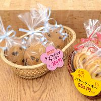 ササガワ ぷちカード フラワー 大 16-7134 1冊(12枚)