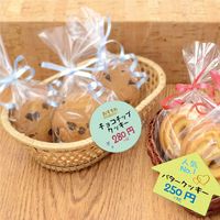 ササガワ ぷちカード マル 大 16-7136 1冊(12枚)