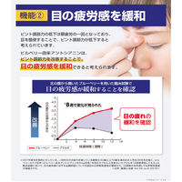 八幡物産 やわた 北の国から届いた ブルーベリー 1ヶ月分 30粒入 1袋(30粒入)（直送品）