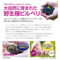 八幡物産 やわた モーっとブルーベリー 20日分 40粒入 1袋(40粒入)（直送品）