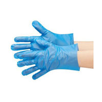 エブノ エブケアシルキーグローブ 使い捨て手袋 ブルー 箱入 LLサイズ No.3063 1箱(100枚)
