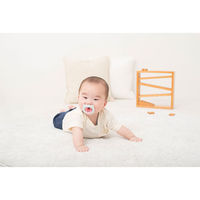 リッチェル 吸せつラボ おしゃぶり ネコ 新生児用 ケース付 4945680204064 1個（直送品）