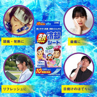iiもの本舗 熱冷却シート 大人・子供兼用 4589596693569 1箱(16枚入)