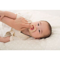 リッチェル 吸せつラボ おしゃぶり ビスケット 新生児用 ケース付 4945680204071 1個（直送品）