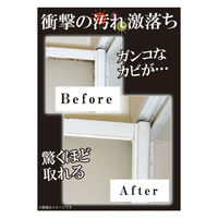 イカリ消毒 イカリ カビックリンペースト 120g 4906015051135 1箱(120g入)（直送品）