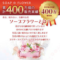 ポピー名古屋 シャボンフラワー SBL-11 ベージュ 1箱（直送品）