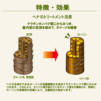 テンスター ファインヘナ ブラウン 80g（40g×2パック） 1個 三宝 ヘナ 白髪染め