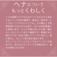 テンスター ヘナカラートリートメント アッシュダークブラウン 250g 三宝