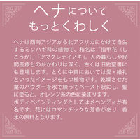 テンスター カラーシャンプー ダークブラウン ポンプ 300ml 三宝