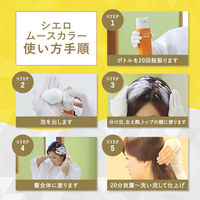 CIELO（シエロ）　ムースカラー　3　明るいライトブラウン　hoyu（ホーユー）