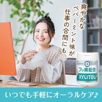 キシリトールガム+フッ素＜ペパーミント＞スリムボトル 1セット（1個×6） ロッテ