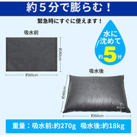 KAEI 吸水式簡易土のう a33180 1セット(10枚入)