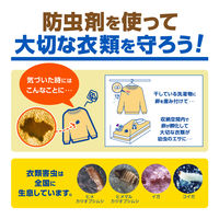 洋服ダンス用かおりパラゾール 金木犀の香り 詰替 1パック（3個入） 白元アース