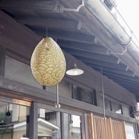 【虫よけ】 高芝ギムネ製作所 ハチの巣される前に ハチの巣ガード M-45 1個