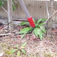 【園芸用品】高芝ギムネ 腰らく草抜きボーイ 強靭設計 M-21 1個