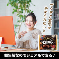 ザクザクやみつきクランキーシェアパック 1個 ロッテ チョコレート 個包装 小分け