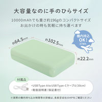 オウルテック Type-C 入出力対応 10000mAh 小型軽量モバイルバッテリー OWL-LPB10012-SAG 1個