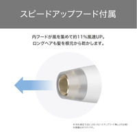 ヘアドライヤー 大風量 速乾 軽量 1200W プロテクトイオン 折り畳み式 グレージュ TD560A-C テスコム 1個（直送品）