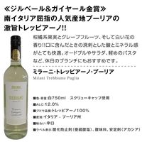 ワインキュレーション厳選 ヨーロッパスパークリングワイン・白ワイン・赤ワイン　厳選6本セット　飲み比べ