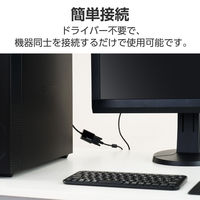 エレコム 変換アダプタ DisplayPort to VGA （ミニD-Sub15pin） AD-DPVGABK2 1個（直送品）
