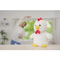 ファミリー・ライフ 体操コッコちゃん a33000 1個（直送品）